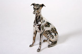 Whippet